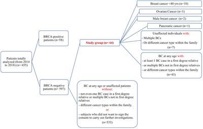 Multi-gene panel testing increases germline predisposing mutations’ detection in a cohort of breast/ovarian cancer patients from Southern Italy